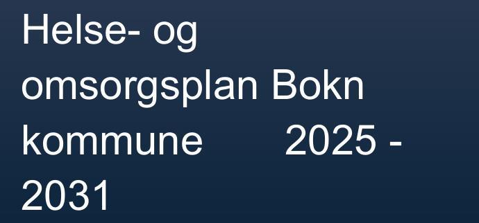 Bilde frå framsidatil planen. - Klikk for stort bilete