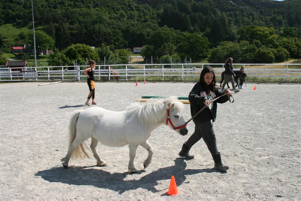 Linnea Elisabeth Palmer leier ponnyen gjennom hinderløypa. - Klikk for stort bilete